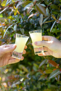 Close-up of hand holding drink