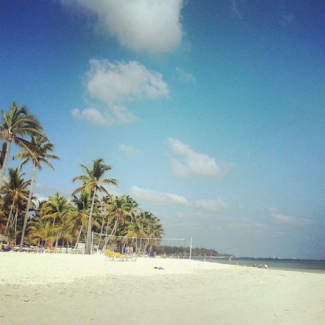 beach, sand, palm tree, sea, sky, shore, tree, tranquility, tranquil scene, water, scenics, beauty in nature, horizon over water, nature, blue, idyllic, vacations, cloud - sky, cloud, day