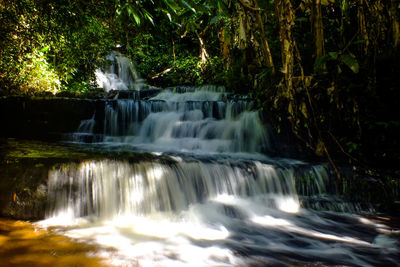 Scenic view of waterfall in forest