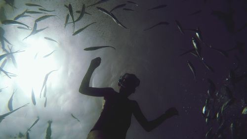 Low angle view of silhouette woman snorkeling amidst fish in sea