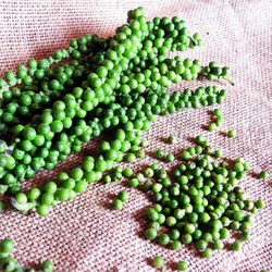 High angle view of berries in container