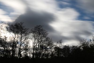 Low angle view of silhouette trees against sky