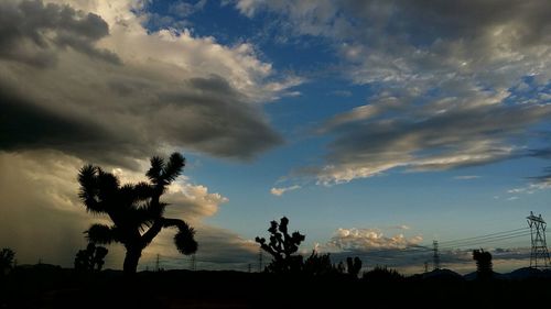 Silhouette of trees against cloudy sky