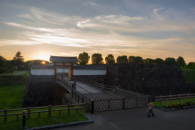 High angle view of people by plants against sky during sunset