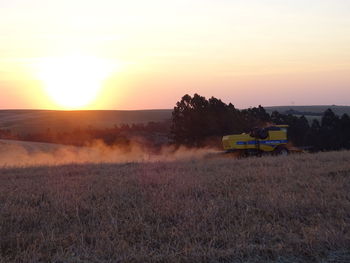 Scenic view of agricultural field against sky during sunset