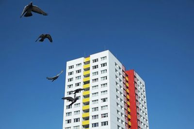 Low angle view of buildings against blue sky