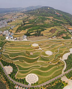 Rice fields in mile, yunnan