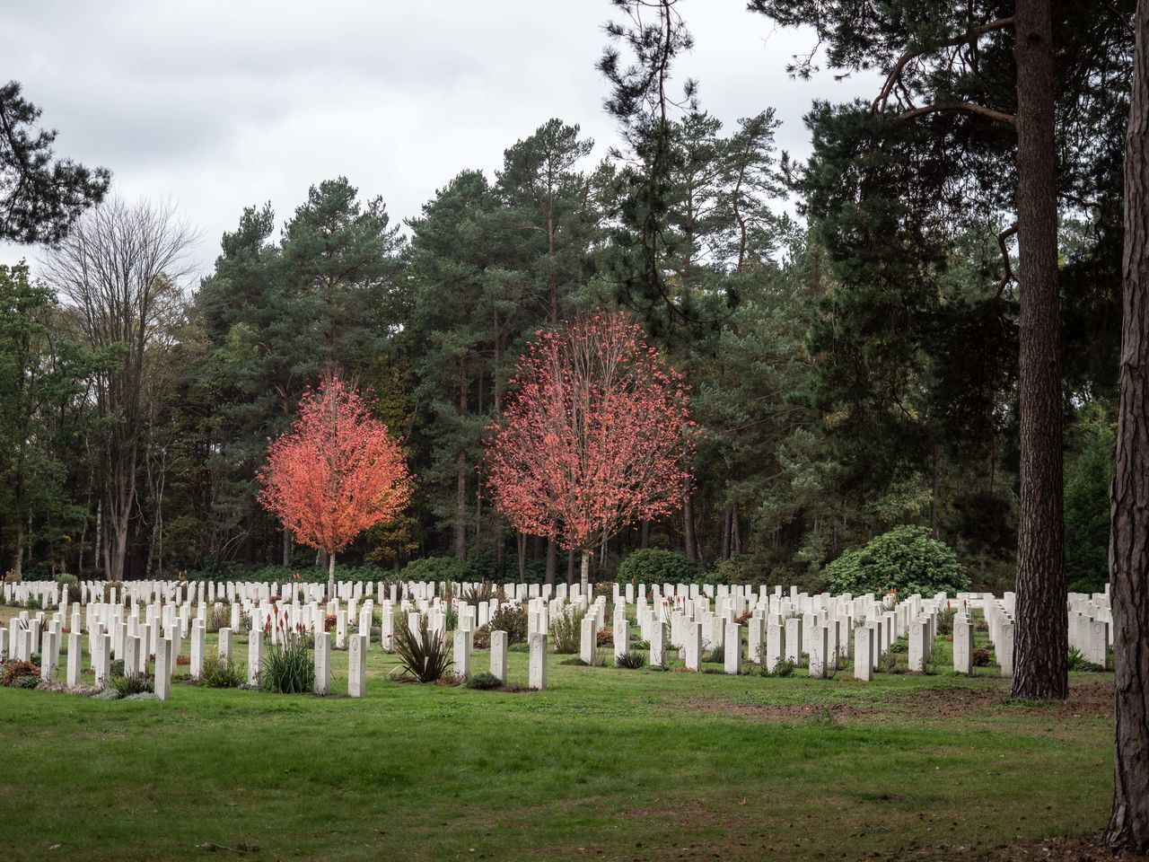 VIEW OF CEMETERY