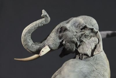 Close-up of elephant representation