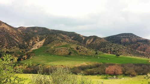Scenic view of golf course against sky