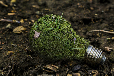 Close-up of lightbulb