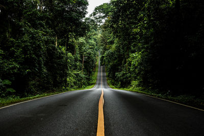 Empty road along trees