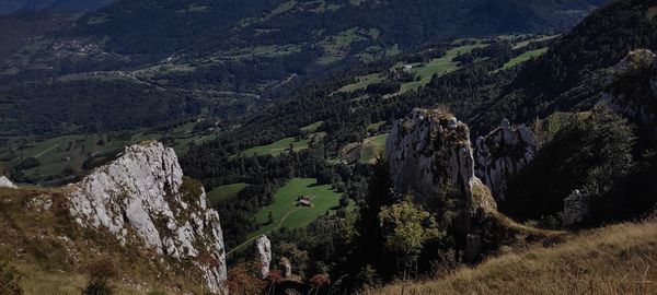 Panoramic view of trees and mountains