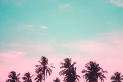 Low angle view of palm trees against sky