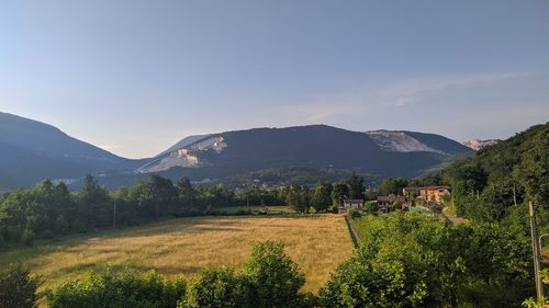 Scenic view of agricultural field against sky