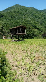 Built structure on field against mountain