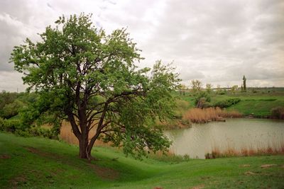 Scenic view of grassy field against cloudy sky