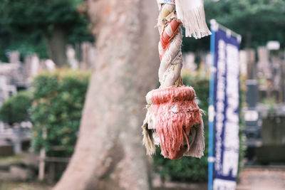 Close-up of tied hanging on rope