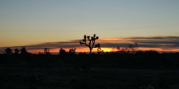 Silhouette trees on field against sky during sunset