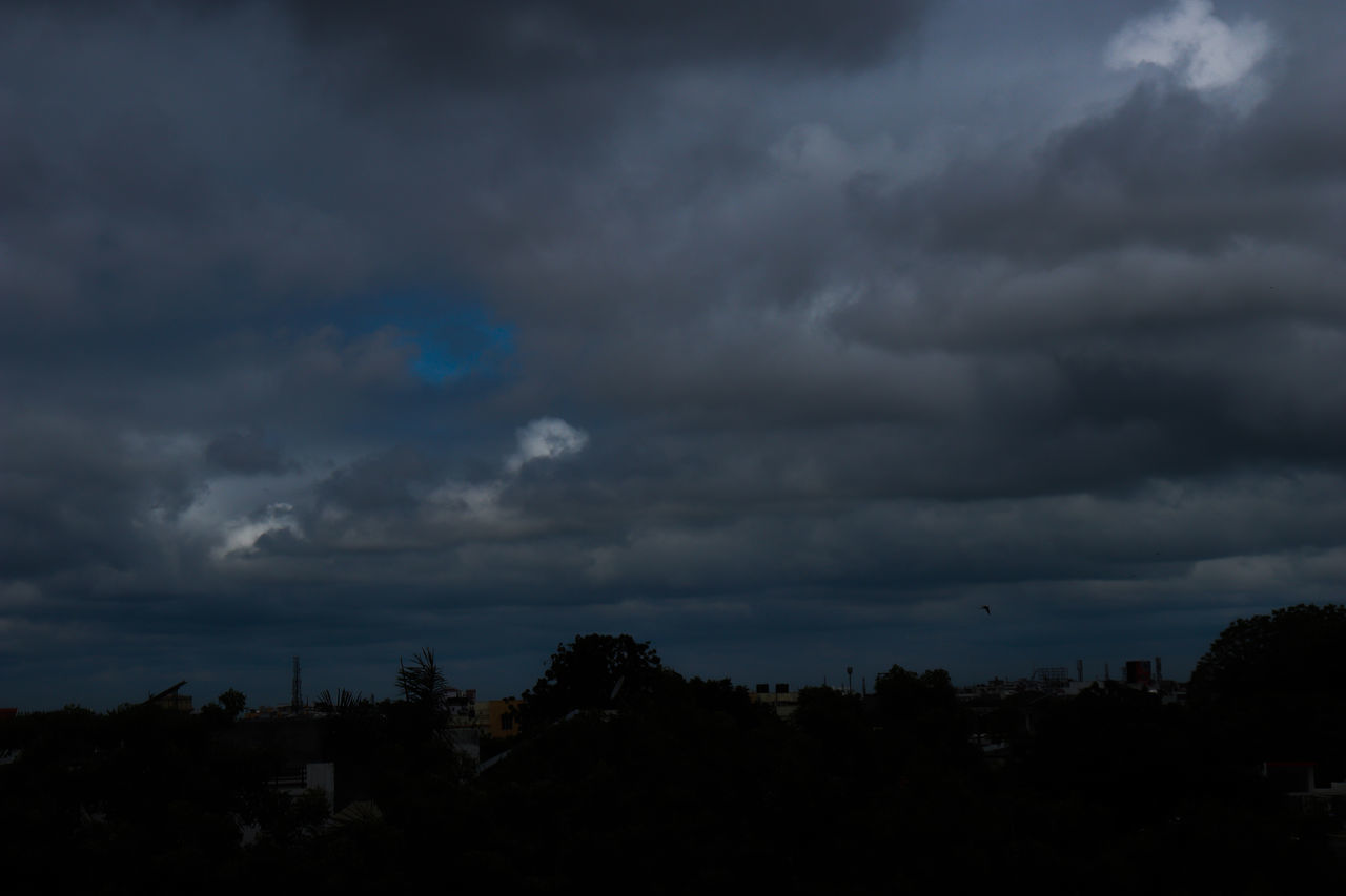 SILHOUETTE OF TREES AND STORM CLOUDS OVER DRAMATIC SKY