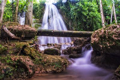 Waterfall in forest