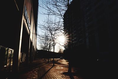 Bare trees in city against sky