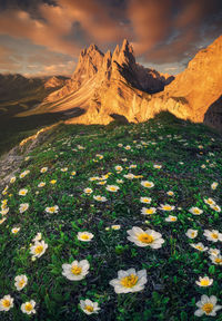 Scenic view of grassy field and mountains against sky