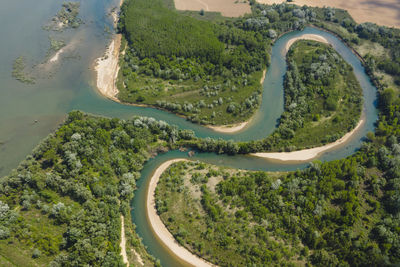 High angle view of road amidst trees in forest