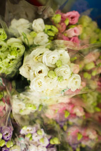 Close-up of rose bouquet