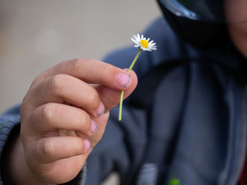 Close-up of hand holding flowering plant