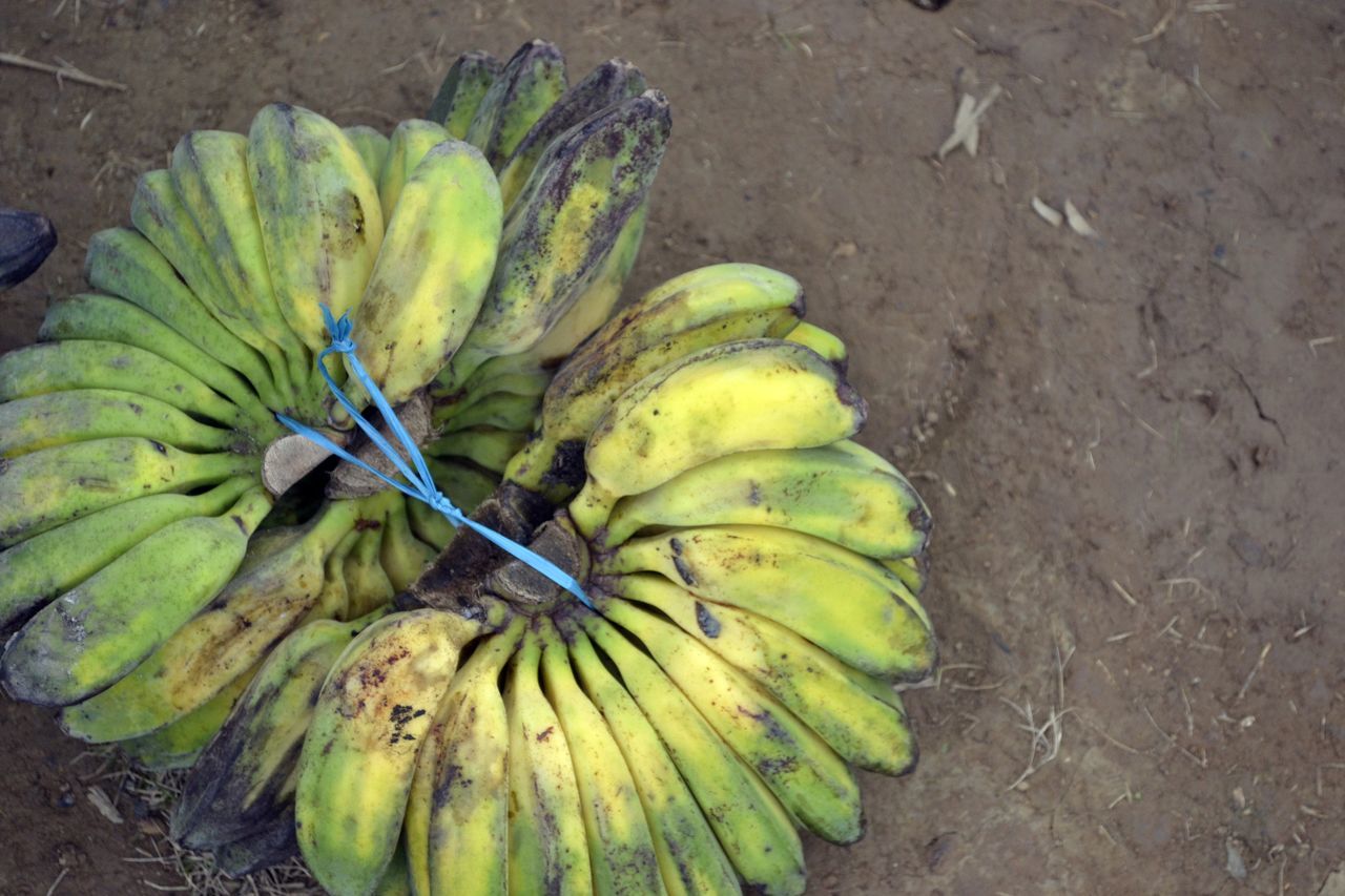 Malaysian local fruit