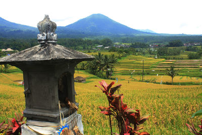 Scenic view of farm against sky