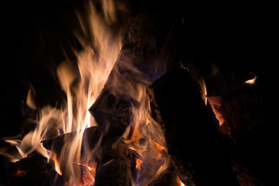 Close-up of bonfire