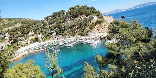 High angle view of trees by sea against sky