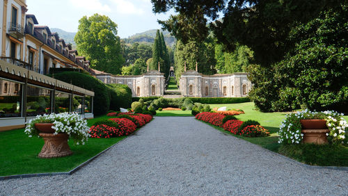 View of plants in garden