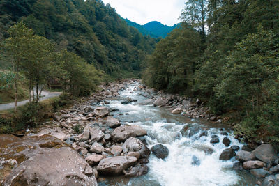 Stream flowing through rocks in forest