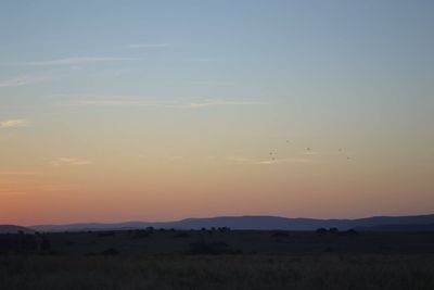 Silhouette birds flying over landscape against sky during sunset