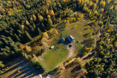 Aerial view of house amidst trees