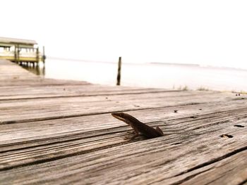 Wood on beach against clear sky