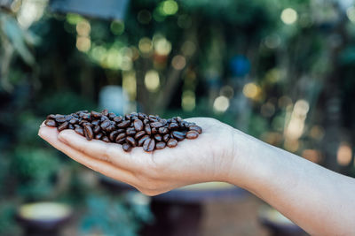 Close-up of hand holding coffee