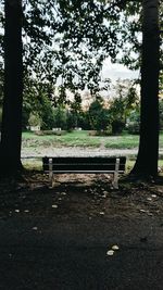 Empty bench in park