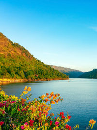 Scenic view of sea against clear blue sky