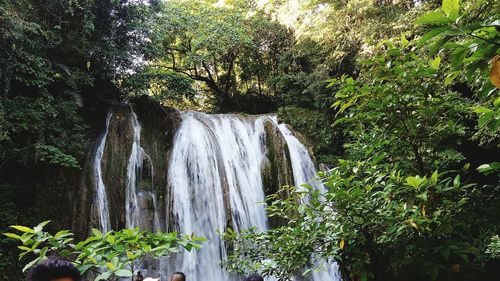 Scenic view of waterfall in forest