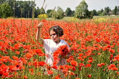 Girl picking red poppy flowers in field