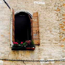 Low angle view of arch window with potted plants