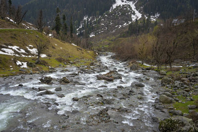 Stream flowing through rocks in forest