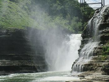 Scenic view of waterfall in forest