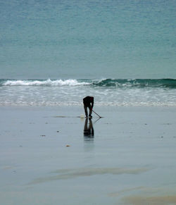 High angle view of people on beach