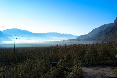 Scenic view of field against clear blue sky