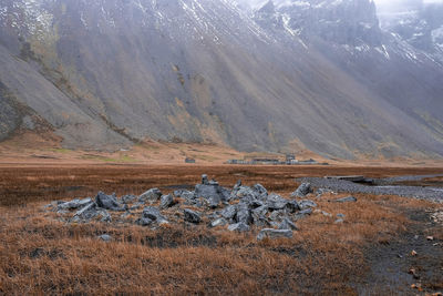 View of stones on grassy field by stream against majestic vestrahorn mountain